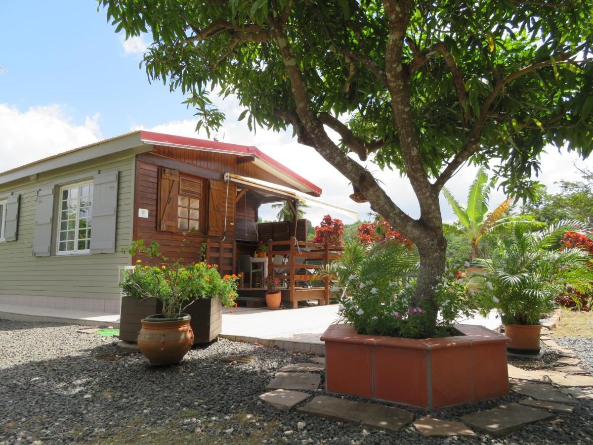 Bungalow Des Paletuviers Morne-a-l'Eau Bagian luar foto